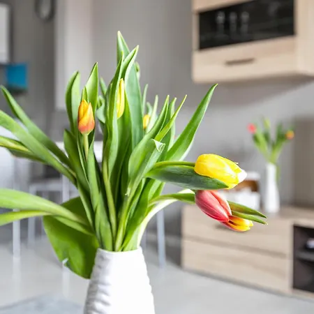 דירה Terrassenwohnung Windsbraut בוסום